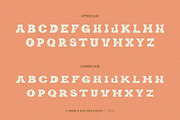 Broeny | Display Typeface, a Sans Serif Font by Brew & Butcher Studio (Thumbnail 2 of 8)