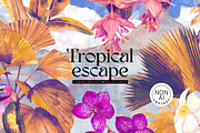 Tropical floral patterns set, a Pattern Graphic by emeraldthue (Thumbnail 22 of 28)