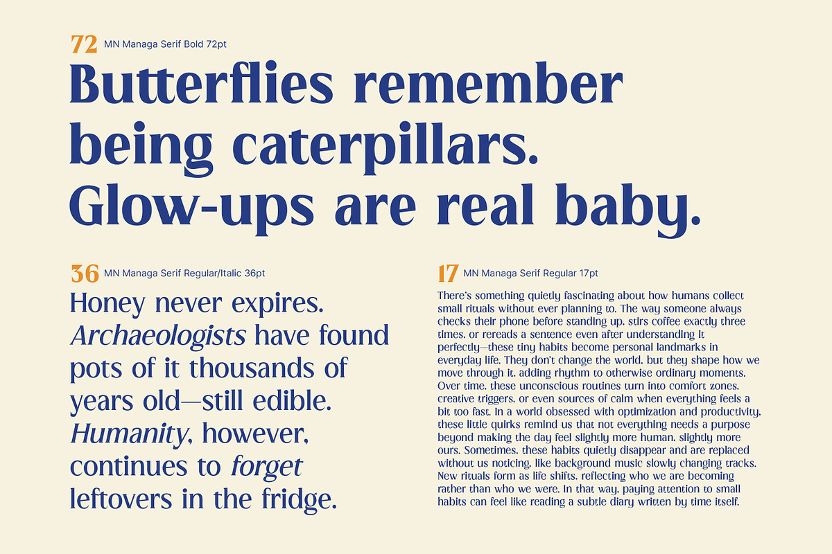 MN Managa Serif - Contemporary Serif, a Serif Font by Mantra Naga (Photo 4 of 18)
