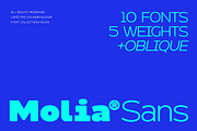 Molia - Sans Serif Font, a Sans Serif Font by limitype (Thumbnail 1 of 12)