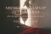 Saufonica - Modern Elegant Serif, a Serif Font by Jimoji (Thumbnail 11 of 11)