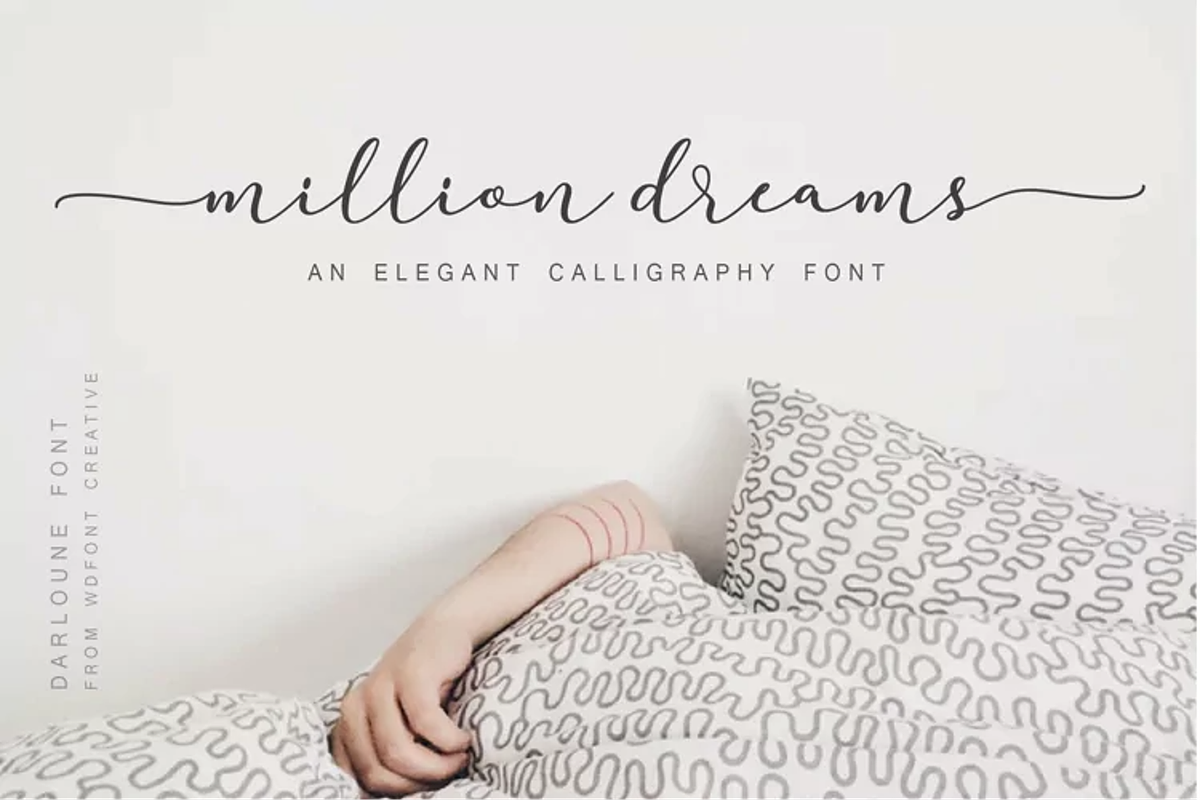 Darloune | An Elegant Calligraphy, a Script Font by WDfont (Photo 2 of 5)