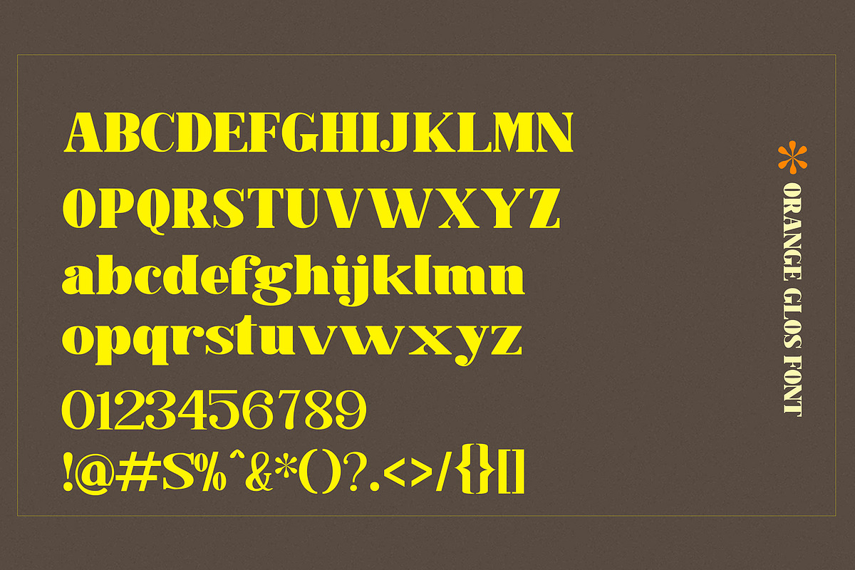 Orange Glos, a Serif Font by Gatype (Photo 8 of 8)