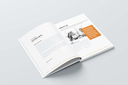 The Proposal | Word, InDesign, a Brochure Template by obayes (Thumbnail 5 of 15)