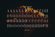Hesay Verso | Display Classic Serif, a Serif Font by gracetype_studio (Thumbnail 11 of 12)
