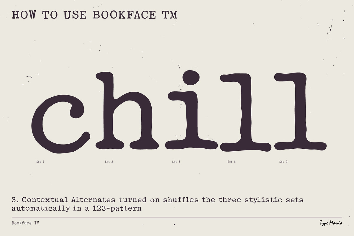 Bookface TM – Dynamic Grunge-y Type, a Slab Serif Font by Type Mania (Photo 7 of 11)