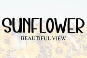 Mountain, a Serif Font by InermediaSTUDIO (Thumbnail 4 of 7)