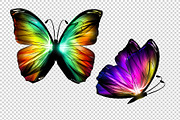 3D Neon Butterflies, an Animal Illustration by BazziBa♥ (Thumbnail 6 of 7)