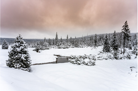 Snowy landscape with trees and small, a Nature Photo by pytyczech