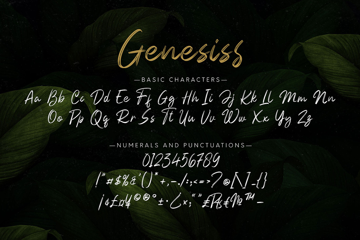 Genesiss, a Script Font by Omotu Studio (Photo 10 of 12)