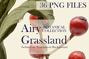Botanical PNG Elements – 36 Meadow P, an Object Graphic by Aga Silva (Thumbnail 9 of 28)