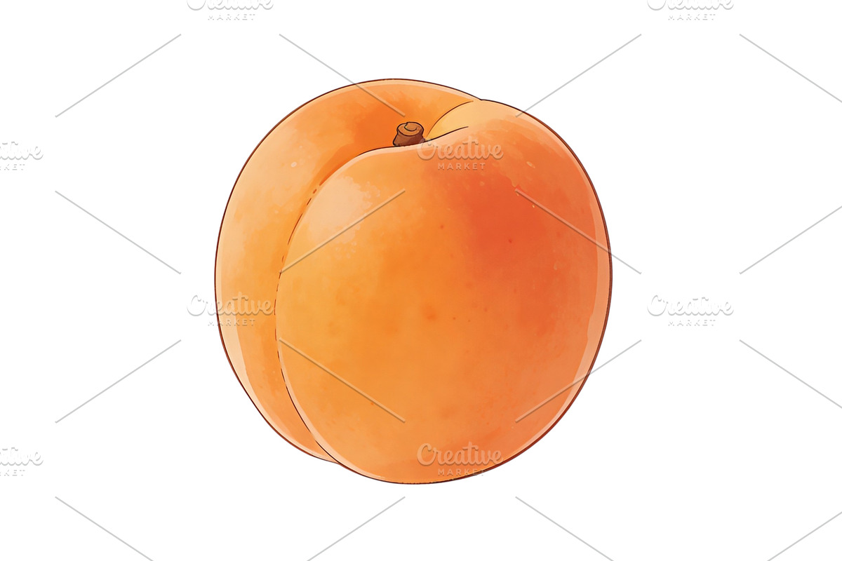 All Fruits Bundle Master Collection, a Food & Drink Photo by FlyeredTemplate (Photo 22 of 130)