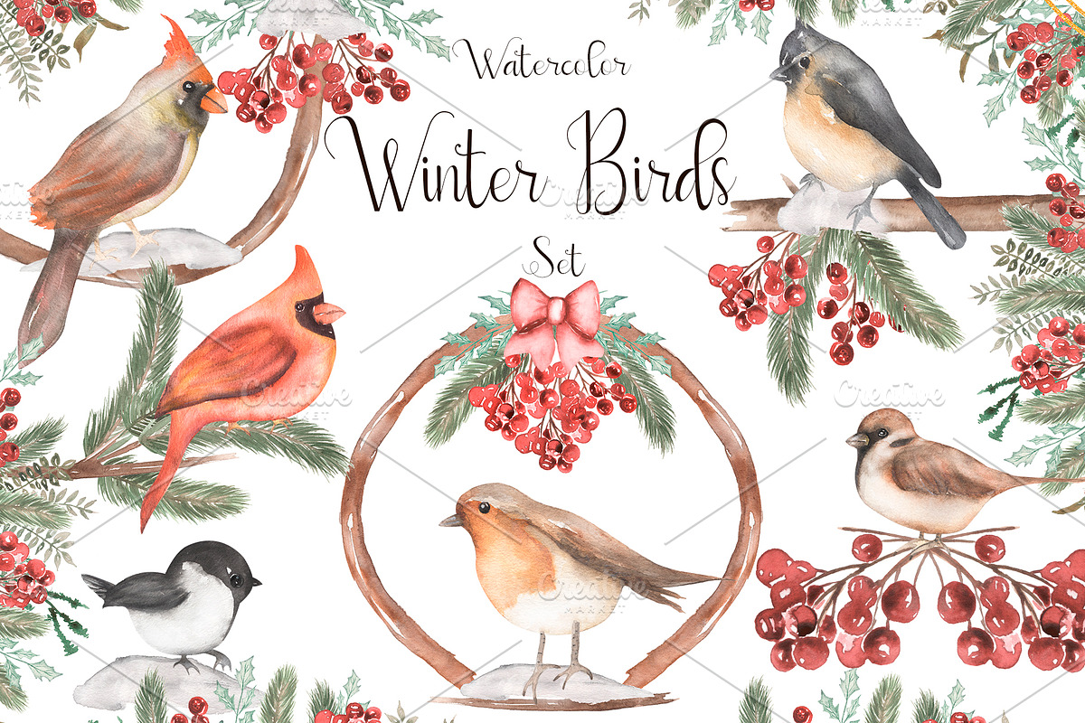 Watercolor Winter Birds Set, an Animal Illustration by MayaNavits (Photo 1 of 5)