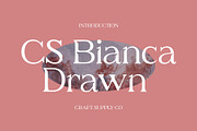 CS Bianca Drawn, a Serif Font by Craft Supply Co. (Thumbnail 1 of 8)