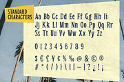 Sandero - Mid-Century Serif Font, a Serif Font by Surplus Type Co (Thumbnail 6 of 8)