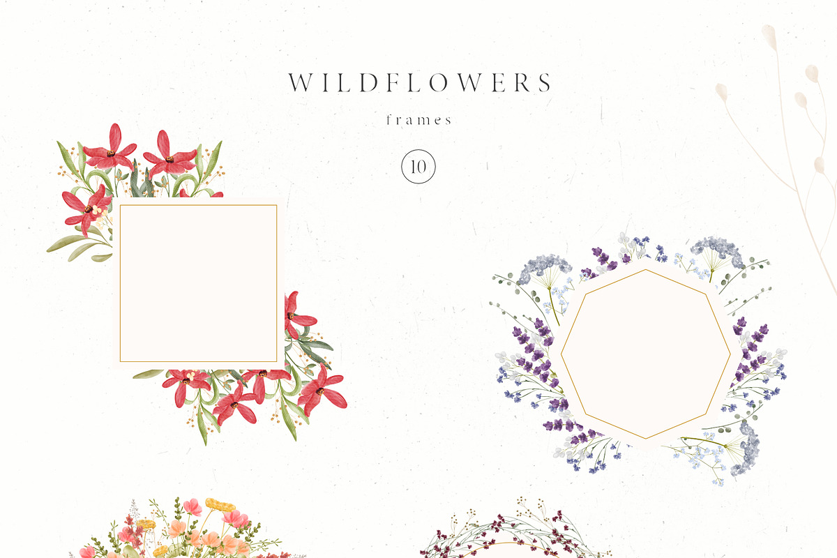 Wildflowers, an Illustration by Blossom (Photo 6 of 9)