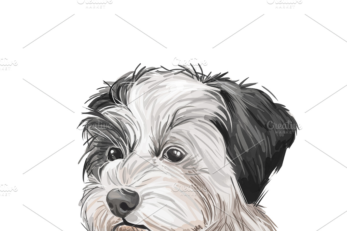 Poodle Cross Breeds 27 Dogs/Puppies, an Animal Illustration by Dneprstock (Photo 23 of 27)