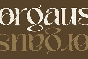 Palmer Sorjan - A Modern Serif