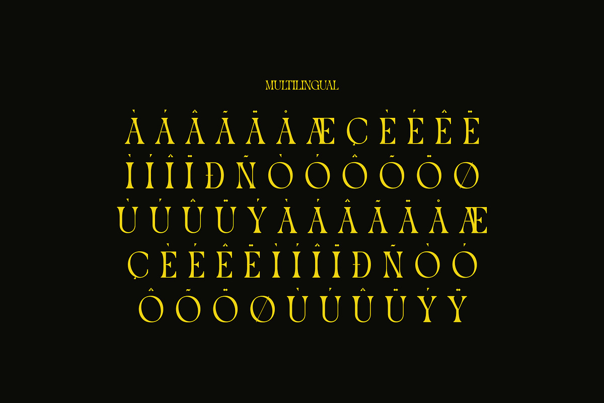 Wader Modern Elegant Serif, a Serif Font by Alfinart (Photo 11 of 11)