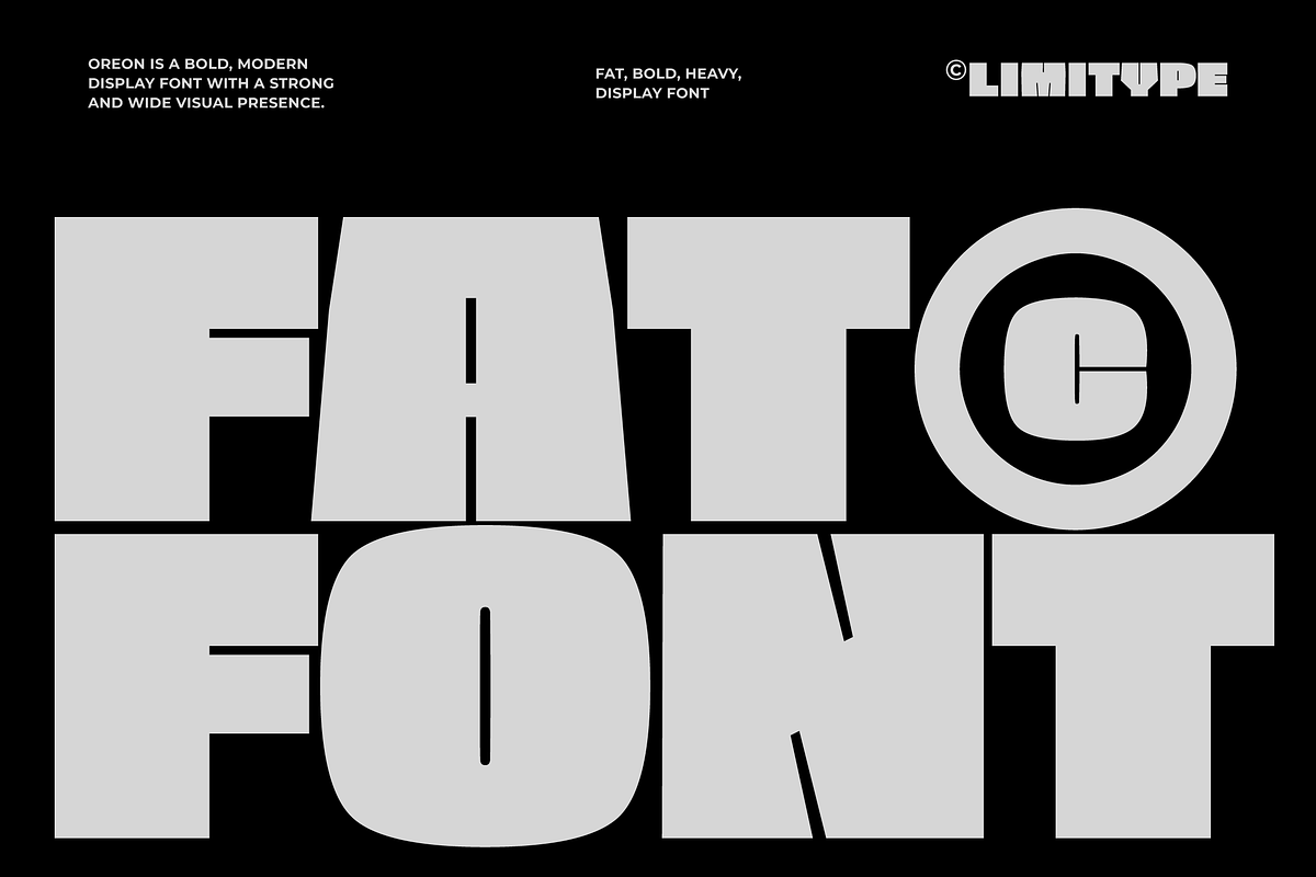 Oreon - Bold Font, a Sans Serif Font by limitype (Photo 5 of 15)