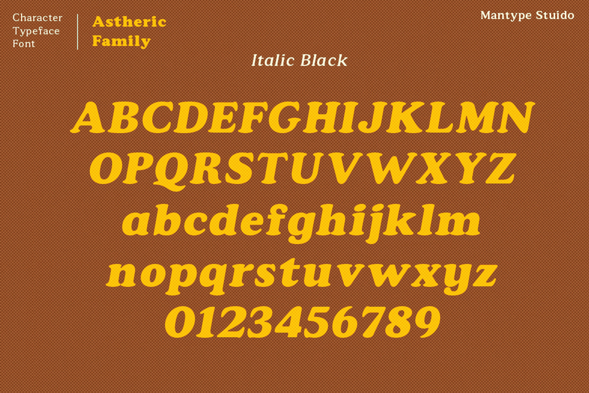Astheric, a Serif Font by Mantype Studio (Photo 13 of 16)
