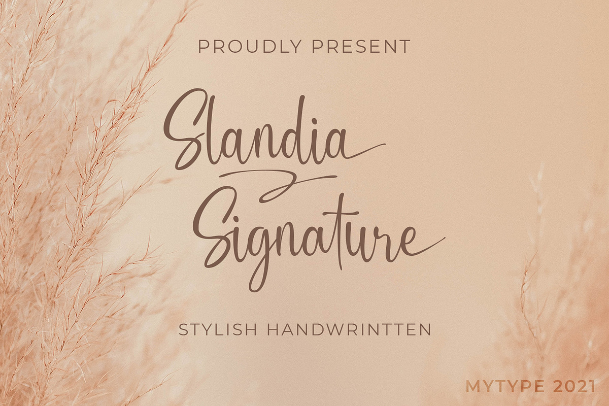 Slandia Signature / Handwriting Font, a Script Font by Mytype Studio (Photo 1 of 11)