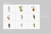 Herbarium Collection prints & more!, a Pattern Graphic by Pink Linen (Thumbnail 7 of 15)