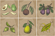 Hand drawn vector plants, a Food Illustration by SHom (Thumbnail 12 of 17)