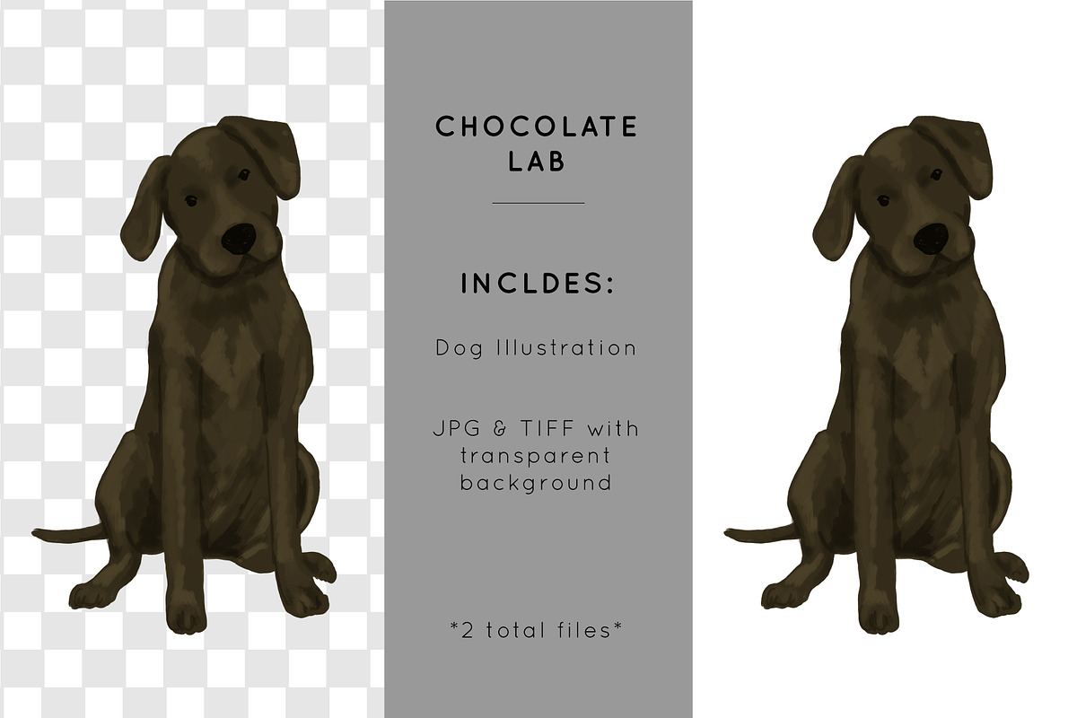 Chocolate Labrador Illustration, an Illustration by Shiny Penny Studio (Photo 2 of 2)