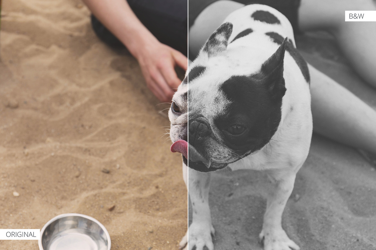 20 Awesome B&W Lightroom Presets preview 3