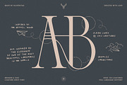 Cosmic Solace - Ligature Serif Font, a Serif Font by SilverStag Type Foundry (Thumbnail 7 of 16)