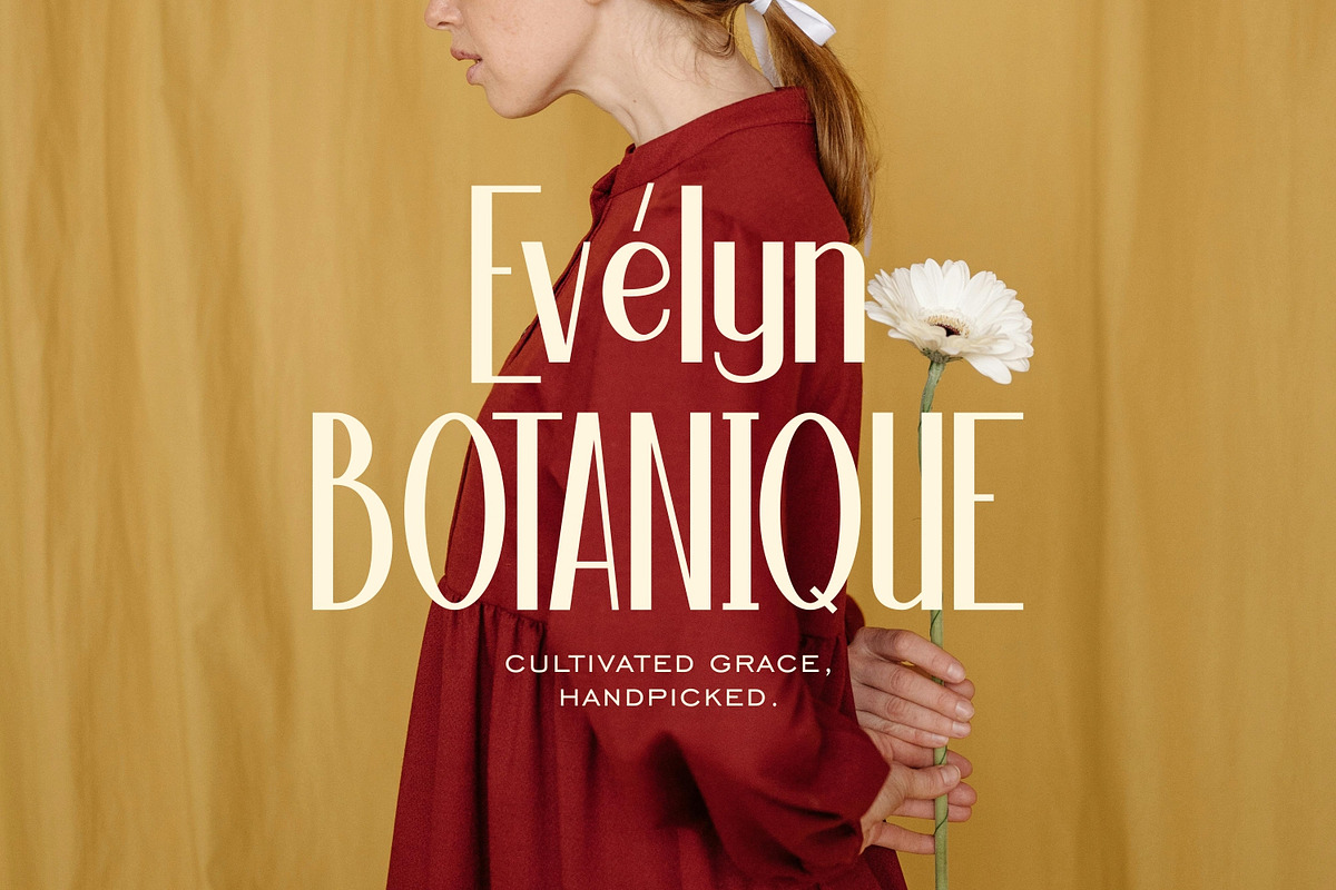 The Hilarious - Display Sans Serif, a Sans Serif Font by Imoodev (Photo 5 of 10)