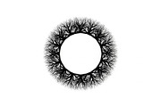 Hand Drawn Wreath Frame Bundle, an Illustration by yasushie (Thumbnail 39 of 51)