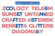 SG Laipa Soft Rounded, a Sans Serif Font by Studio Gulden (Thumbnail 8 of 15)