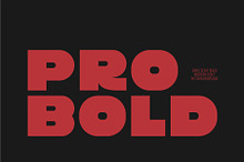 Pro Bold - Sans Serif Bold Font