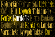 Repyakh Variable, a Serif Font by LevType (Thumbnail 8 of 14)