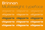 Brinnan, a Sans Serif Font by Typogama (Thumbnail 2 of 11)