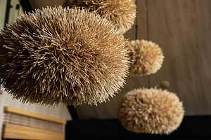 Hanging decorative straw spheres providing natural design and aesthetic texture, a Photo by AS photostudio