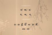 Leonttina, a Script Font by Integritype Studio (Thumbnail 11 of 15)