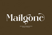 Gibatte Modern Serif Font, a Serif Font by Humaira_std (Thumbnail 4 of 8)