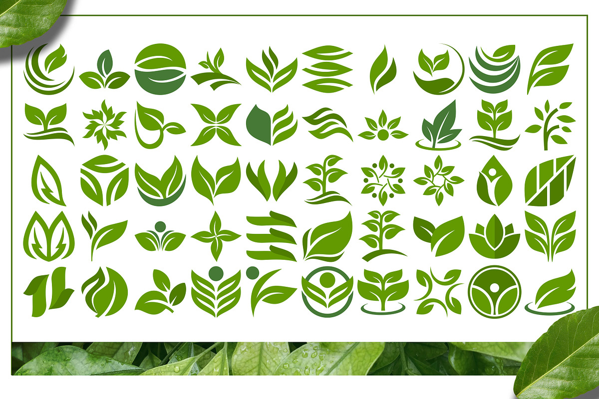 Leaf Logo Template Bundle, an Illustration by Tekuni (Photo 6 of 10)