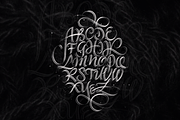 Gothic Calligraphy Brushes, a Brush Add-On by Emmanuel Buron (Thumbnail 4 of 12)