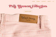 Signature Mango - Modern Retro Font, a Serif Font by Shakira Studio (Thumbnail 8 of 18)