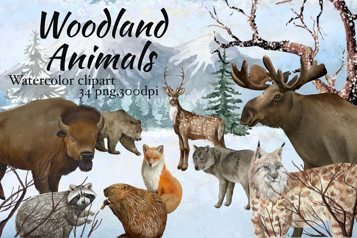 Woodland  animals, winter forest, an Animal Illustration by AkvarelRiver (Photo 1 of 5)