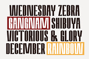 Amvergo Modern Sans Family, a Sans Serif Font by Lettertype Studio (Thumbnail 9 of 18)