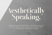 Aumiller Serif Family (18 Fonts), a Serif Font by Positive TypeFoundry (Thumbnail 15 of 15)