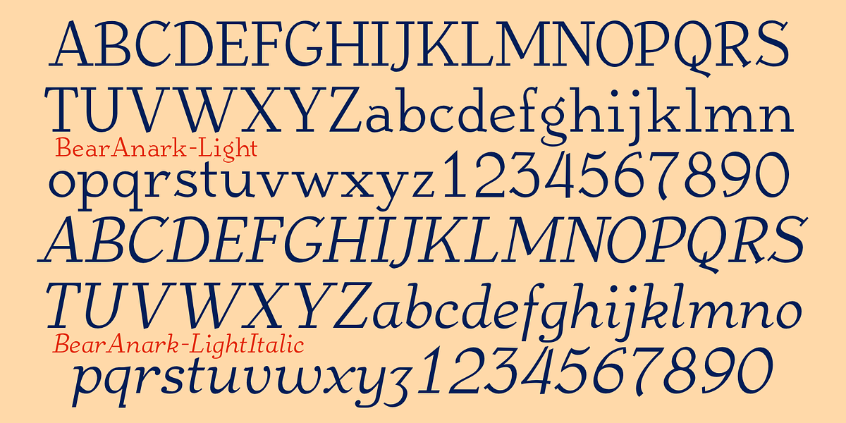 BearAnark, a Serif Font by Ingrimayne Type (Photo 8 of 10)