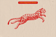 Tigers poses engraving, an Object Illustration by Arthur Balitskiy (Thumbnail 5 of 5)