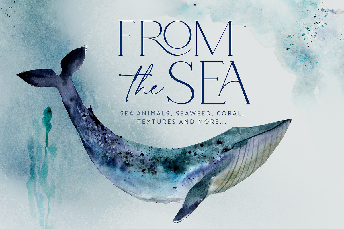 From The Sea Ocean Clipart, an Illustration by Twigs and Twine (Photo 1 of 12)