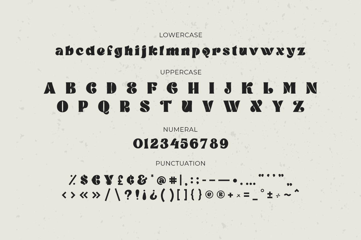 Vocity - Display Font, a Serif Font by Fikry Alfatih (Photo 6 of 7)